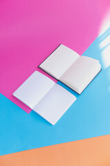 Two school notebooks lie on a colorful background with empty pages. Back to School - 630642462