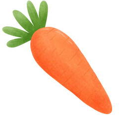 carrot 