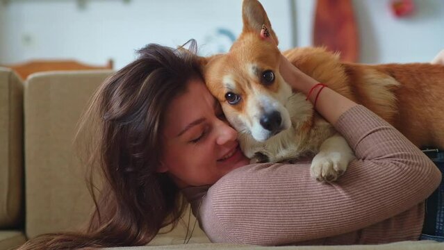 Owner female woman young girl playing with her dog welsh corgi pet 