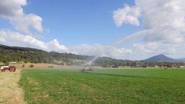 Rain Gun Sprinkler Watering Agricultural Wheat Field
