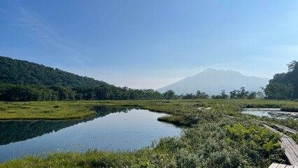 Fototapeta premium 自然