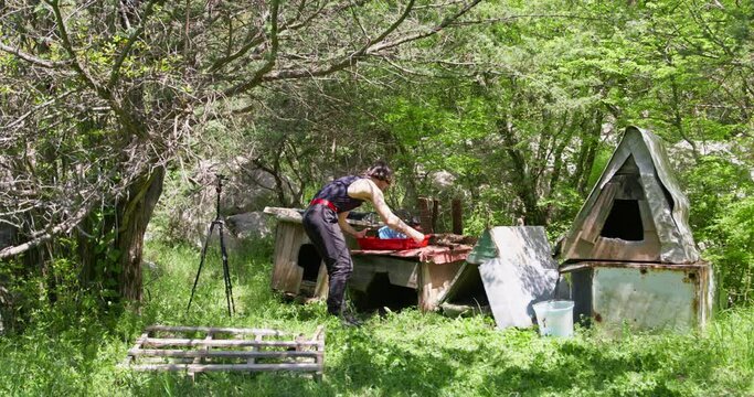Man in forest near an abandoned hut takes out dachshund on a tray with gesture of his hand threatens to cut his throat, kill Attacker kidnapped puppy for illegal breeding, sale of thoroughbred animal