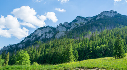 Fototapeta na wymiar Summer landscape at Tatra national park ,Zakopane.