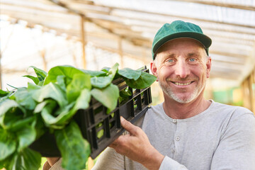 Smiling farmer with organic harvested vegetables in crate