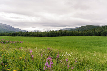 Obraz premium Desktop background, nature field and mountains of the north.