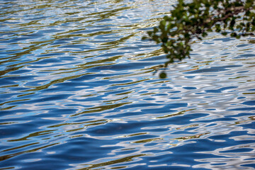 ripples on the water,nacka,sverige,sweden, stockholm, Mats