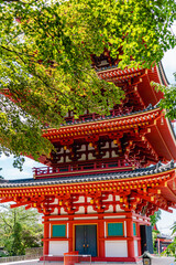 Fototapeta premium 東京 高幡不動尊 五重塔