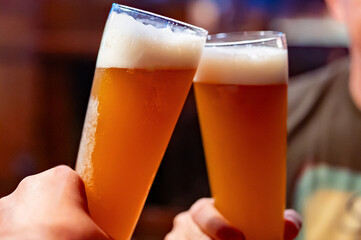 Two friends hands clinking glasses of craft beer at the pub or bar