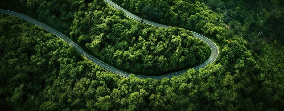 aerial drone shot of road winding through a lush tropical forest