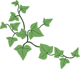 Simplicity ivy freehand drawing