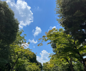 Fototapeta premium Blue sky in summer, bustling streets of Japan
