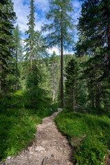 Hiking footpath in the Dolomites