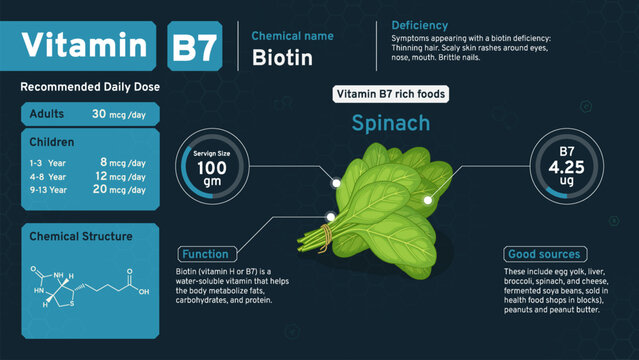 Vitamin B7 Illuminating Health from Within! Discover the Daily Dose, Chemical Power, Retinol Structure, and Rich Foods with Serving Sizes to Nourish Your Vision- Vector infographics Design