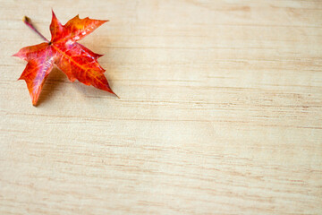 The background of maple leave with space for text on a wooden background. Autumn Leaf Background