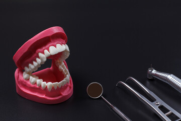 Layout of a human jaw, the rubber dam forcep and the dental mirror