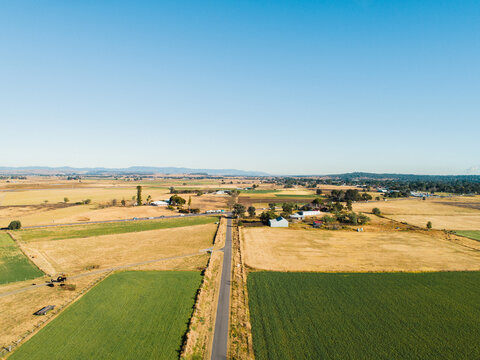 laneway through farmland outside Singleton under blue sky