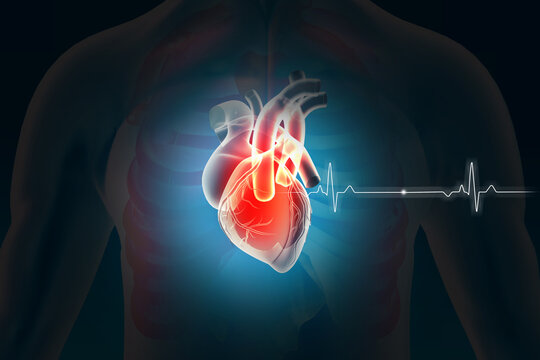 Heart. Cardio puls line. Heart attack or heart disease.  3d illustration