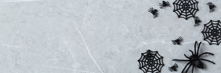 Halloween greeting card with pumpkin, skulls and spiders, banner