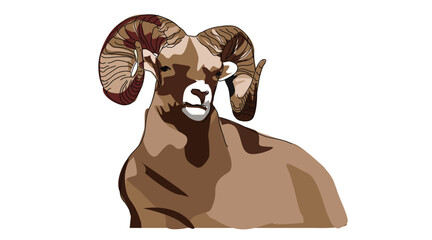 Brown bighorn vector illustration on white background