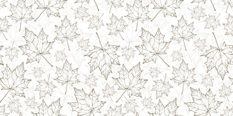 Pattern of autumn dry leaves. Maple Leaf. Illustration for the design of textiles, covers, ceramics. White background.