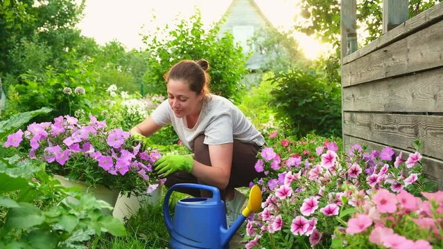 Gardening and agriculture concept. Young woman farm worker gardening flowers in garden. Gardener planting flowers for bouquet. Summer gardening work. Girl gardening at home in backyard