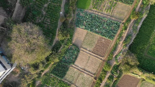 Aerial view of the old town with mud houses  Dhahran Al Janub  Saudi Arabia