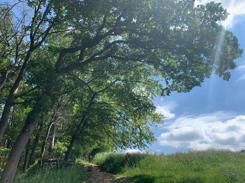 Happiness: Sommer-Sonnen-Tag
