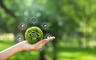 reducing carbon emissions carbon neutral concept Net zero emission target, green background with...