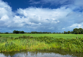 Typical Dutch cloudy sky. White clouds on a clear blue sky above a green meadow.