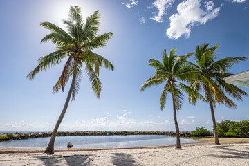 Fototapeta na wymiar Relaxing tropical beach with palm trees and blue sky in the Florida Keys, USA