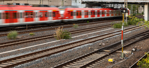 Local passenger train on the rails. Frankfurt am Main, Germany in the afternoon, technology,...