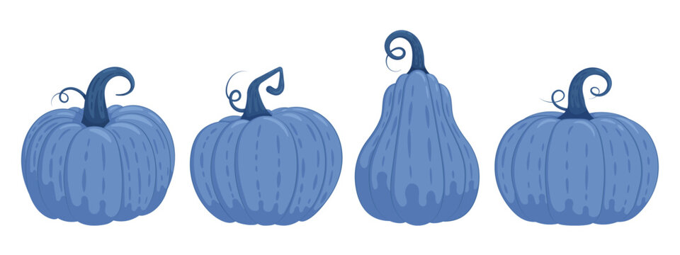 Set of blue pumpkin illustrations