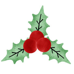 holly berry and holly