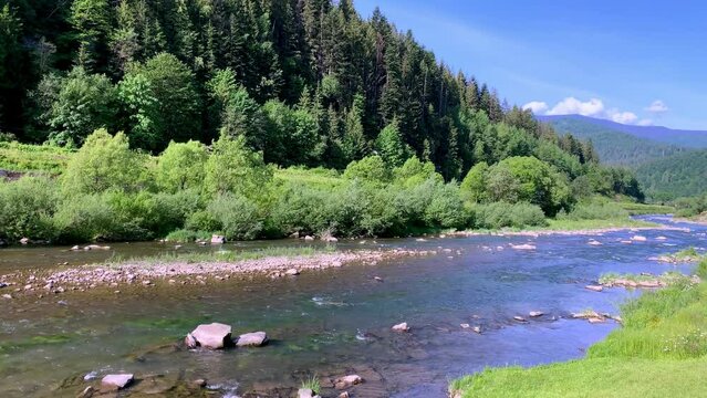 The beautiful Prut River runs in Yaremche in the Ukrainian Carpathian Mountains, summer day. The river snaking off into the distance.
