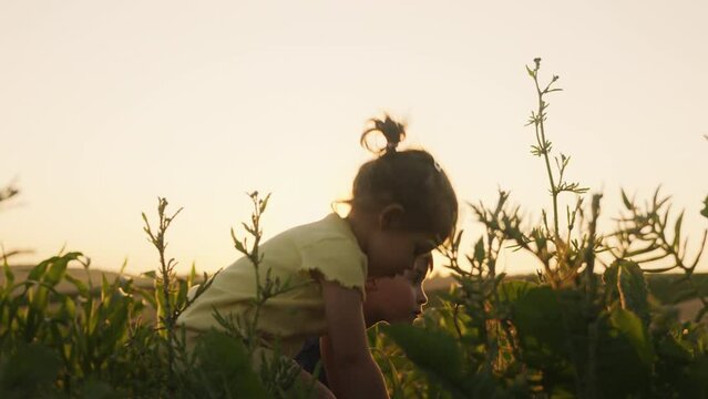 Cute little children enjoying on farm. Farm life. Daughter and son working in the farm. Childhood memories.