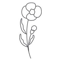 hand drawn flower