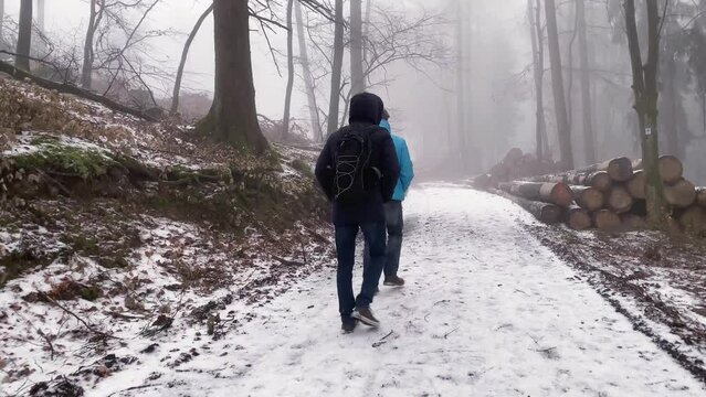 two men in jackets walk along road strewn with thin layer of snow, snowy winter foggy forest with icy bare tree branches, cold, friends strolling on snowy pathway, Chilly Weather, first snowfall