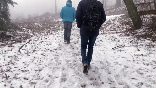 snowy winter foggy forest with icy bare tree branches, cold, two men in jackets walk along road strewn with thin layer of snow, concept of Chilly Weather, first snowfall, Winter Walk
