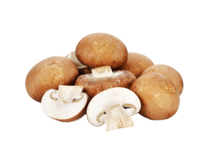 Brown champignon mushroom and rosemary leaves transparent png