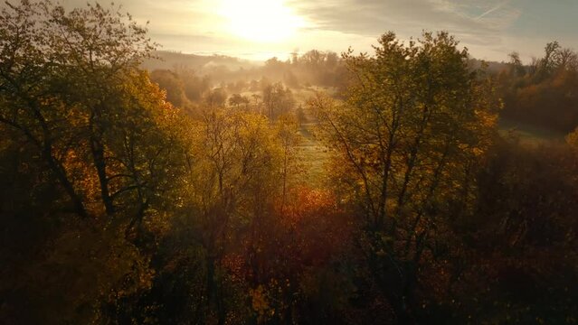 Flying fast over idyllic rural landscape towards the rising sun. FPV drone moving low by the beautiful trees in gold morning light
