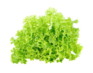 Obraz premium Lettuce transparent png