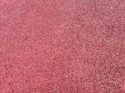 pink carpet texture