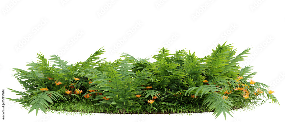 Wall mural Fern and meadow cut out on transparent background 3d rendering png