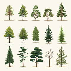 pine trees set vector flat minimalistic isolated illustration