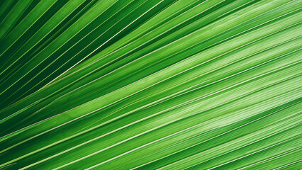 Obraz premium Palm Leaf Close-Up. Abstract Tropical Background Texture. generative ai