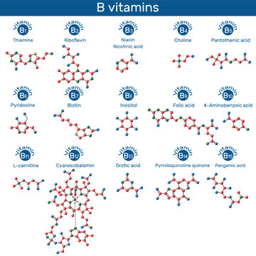Vitamins B molecule model. Thiamine, riboflavin, niacin, nicotinic acid, choline, pyridoxine, biotin, inositol, folic acid, PABA, L-carnitine, cyanocobalamin, orotic acid, PQQ, pangamic acid. 