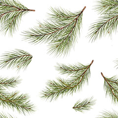 seamless pattern. Pine branch watercolor isolated illustration. green natural forest christmas tree. needles branches greenery hand drawn. holiday decor with fir branch. holiday celebration new year - obrazy, fototapety, plakaty
