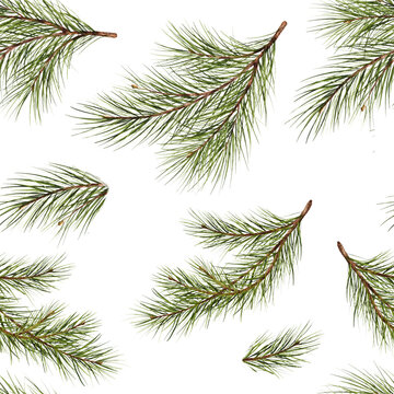seamless pattern. Pine branch watercolor isolated illustration. green natural forest christmas tree. needles branches greenery hand drawn. holiday decor with fir branch. holiday celebration new year