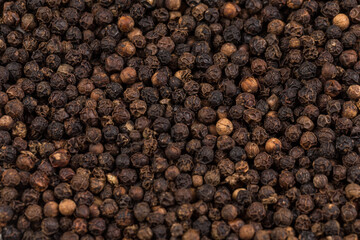 Black pepper zoomed in on