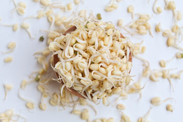 Mung bean sprouts, in wooden bowl. Isolated on white background